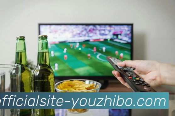 多媒体互动体验